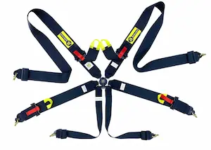 SFI 3" x 3" 5pt Cambuckle Seatbelt